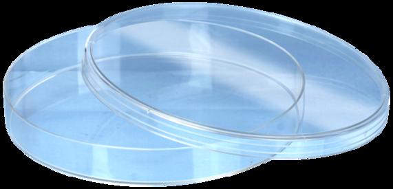 Чашка Петрі 150х20 mm (мм) з вентиляцією